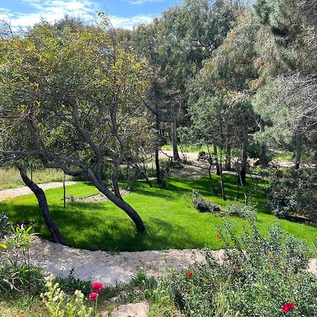 Villa Stella Marina Valledoria  Dış mekan fotoğraf