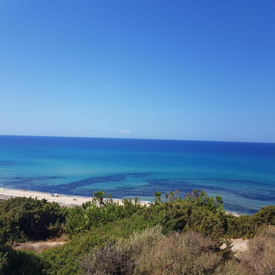 Villa Stella Marina Valledoria  Dış mekan fotoğraf
