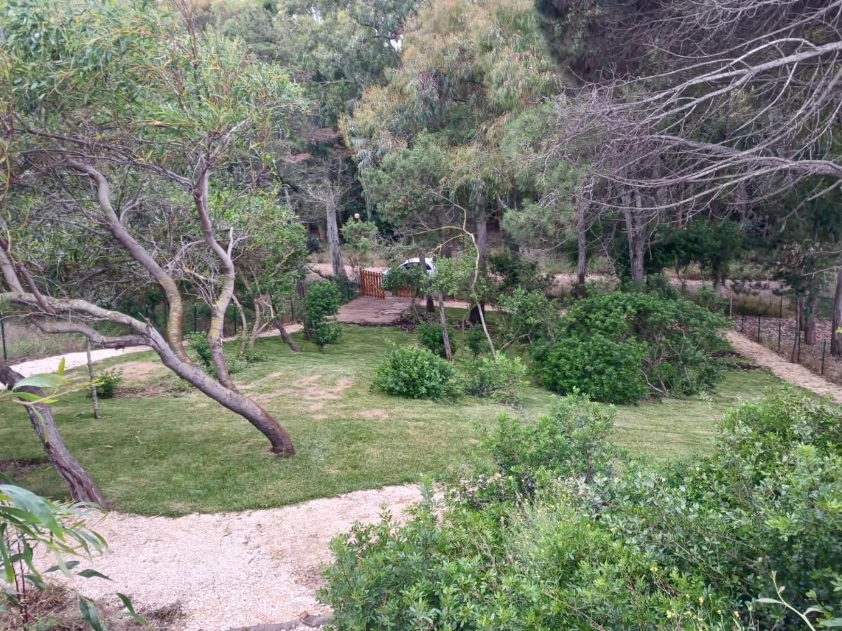 Villa Stella Marina Valledoria  Dış mekan fotoğraf