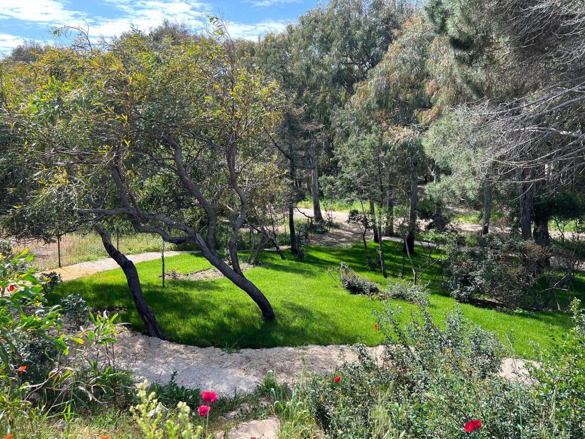 Villa Stella Marina Valledoria  Dış mekan fotoğraf